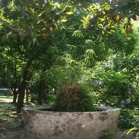Il Giardino Di Tonia - Oplontis - Bed & Garden -