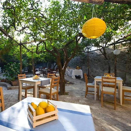 Bed & Breakfast Il Giardino Di Tonia - Oplontis - Bed & Garden -