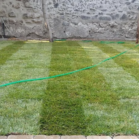 Il Giardino Di Tonia - Oplontis - Bed & Garden -