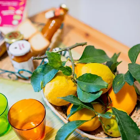 Bed & Breakfast Il Giardino Di Tonia - Oplontis - Bed & Garden - *