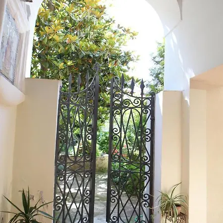 Bed & Breakfast Il Giardino Di Tonia - Oplontis - Bed & Garden - *