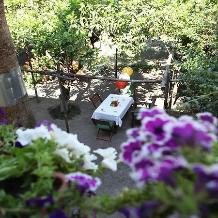 Bed & Breakfast Il Giardino Di Tonia - Oplontis - Bed & Garden - Torre Annunziata