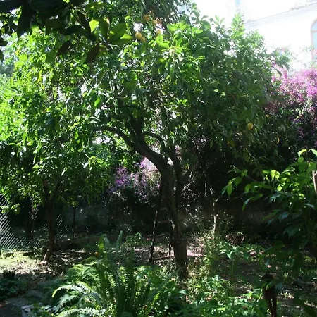 Bed & Breakfast Il Giardino Di Tonia - Oplontis - Bed & Garden -