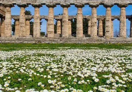 Bed & Breakfast Il Giardino Di Tonia - Oplontis - Bed & Garden -