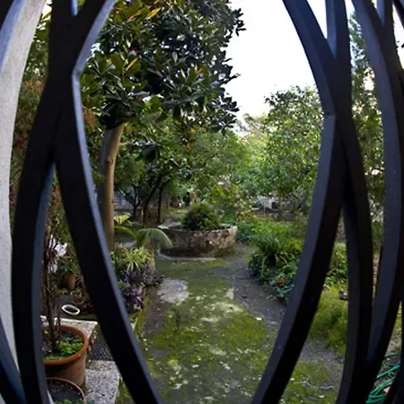 Bed & Breakfast Il Giardino Di Tonia - Oplontis - Bed & Garden -